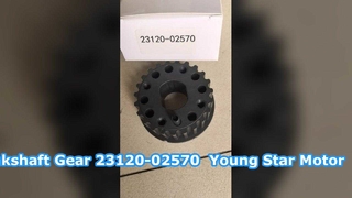 Ременная шестерня коленчатого вала Hyundai Getz 23120-02570 YOUNG STAR MOTOR